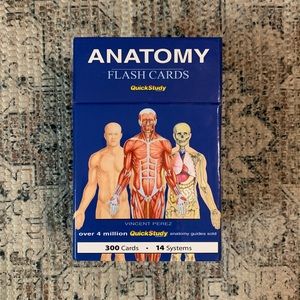 Anatomy flash cards
